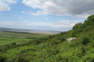 View from Warton Crag