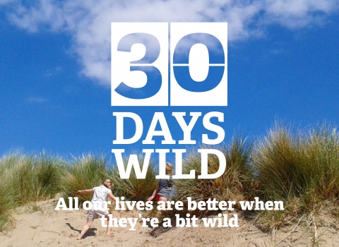 30 Days Wild - play on the beach
