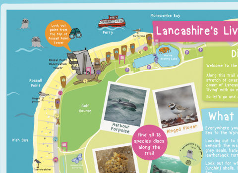 Lancashire's Living Sea Wildlife Trail Map