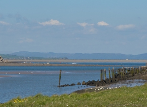 South Walney Nature Reserve and Piel castle in background - credit JohnMorrison