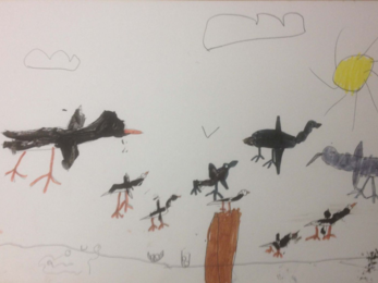 Drawing of birds in flight