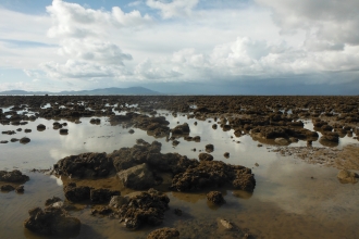 Sabellaira reef at Allonby Bay ©NWIFCA