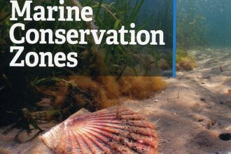 The case for more MCZs report