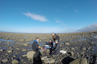 Shoresearch Earnse Bay 2014