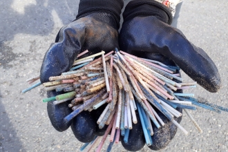 Handfuls of cotton bud sticks collected on a beach clean