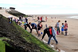 Rockpool Ramble