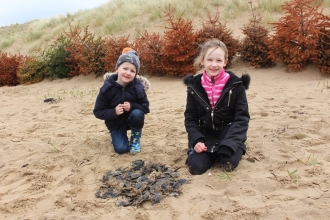 Eggcase Hunt