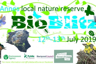 Fylde BioBlitz 12th/13th July 2019