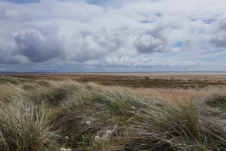 Fylde sand dunes near beach terrace
