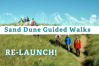 Sand Dune Guided Walks - Re-Launch