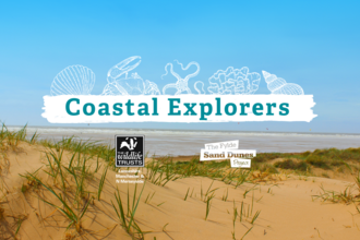 Coastal Explorers - Sand Dune Safari