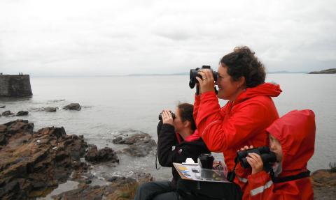 Sea watch