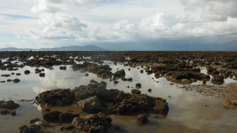 Sabellaira reef at Allonby Bay ©NWIFCA