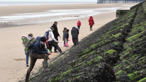 Rockpooling in Blackpool. Credit: Brian Jones