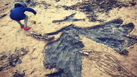 Monster Mud Dip