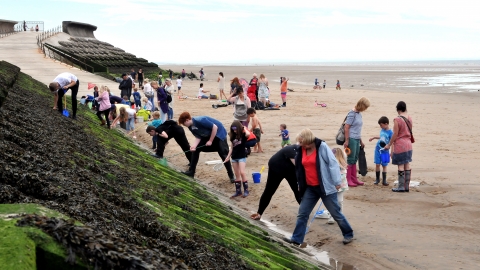 Rockpool Ramble