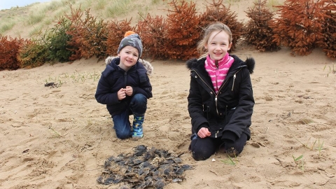 Eggcase Hunt