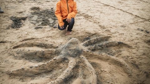 Sand Sculpture - Octopus