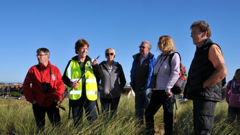 Fylde Sand Dunes Guided Walk ©Brian Jones