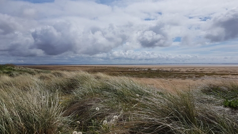 Fylde sand dunes near beach terrace