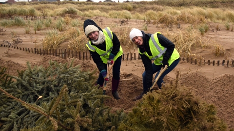 Christmas Tree Planting ©Brian Jones