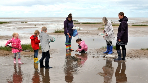 Mud Dipping ©Brian Jones