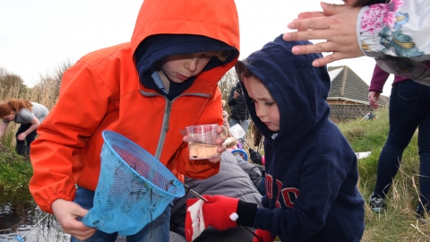 Pond Dipping in Dune Slacks ©Brian Jones