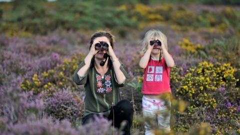 Birdwatch