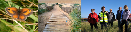 Fylde Sand Dunes Aims Pictures