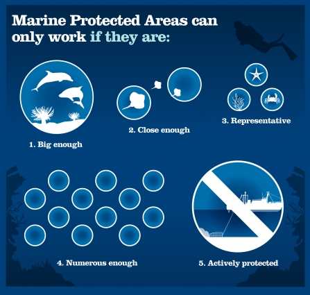 Infographic describing how marine protected areas work