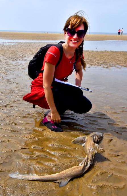 Sally with smooth hound on Formby beach. Photo: Chris Vere