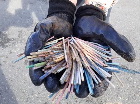 Handfuls of cotton bud sticks collected on a beach clean