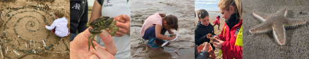 Beach School Mix - Left to right: Spiral Beach Art ©Julie Norman; Common Shore Crab ©Lancashire Wildlife Trust; Mud Dipping in St Anne's ©Lancashire Wildlife Trust; Fylde Beach School Session ©Lancashire Wildlife Trust; Common Starfish ©Paul Naylor.