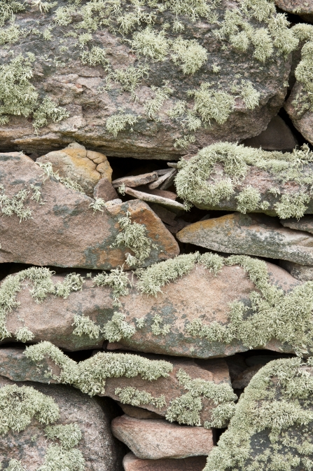 Drystone wall