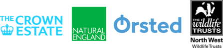 Marine Futures Internship logos