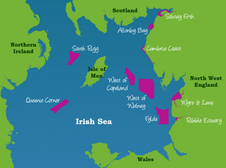 Irish Sea MCZs