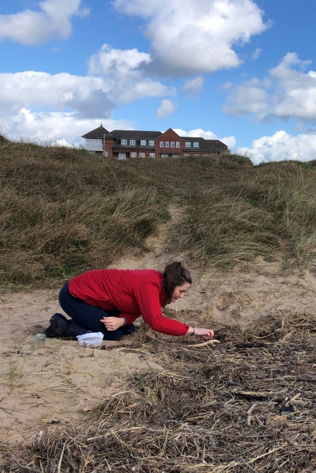 Jess Newman nurdle hunting