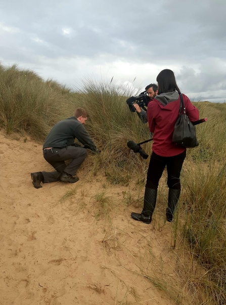 Andy Mills - Filmed Sand Lizard Reintroduction BBC NW Tonight