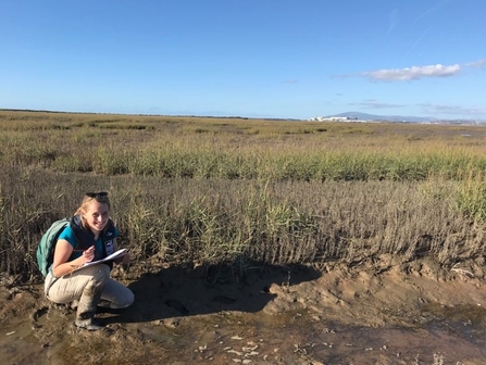 Photo of the Marine Officer crouched amongst saltmarsh and seagrass conducting a survey