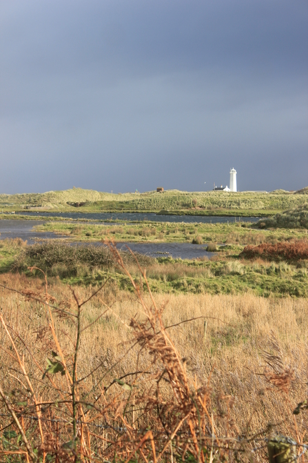 Walney island light house