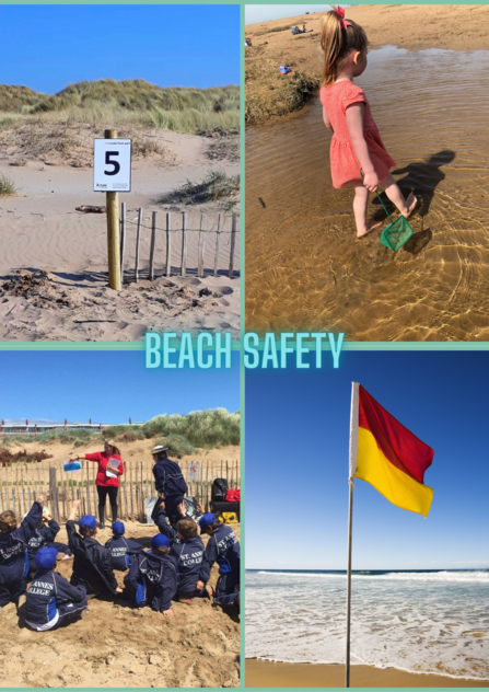 Beach School - Beach Safety