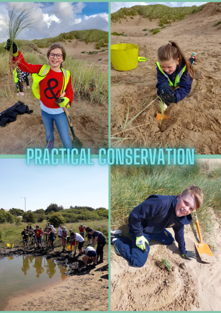 Beach School - Practical conservation
