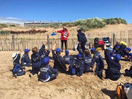 Beach School
