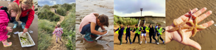 Fylde Beach School Collage