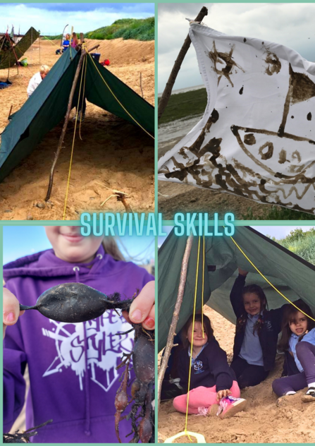 Beach School - Survival Skills