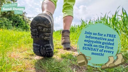 Guided walk promo