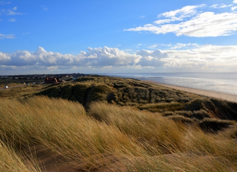 Fylde Sand Dunes Landscape