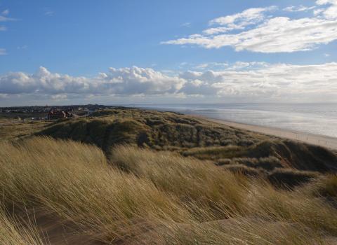 Fylde Sand Dunes. ©Amy Pennington