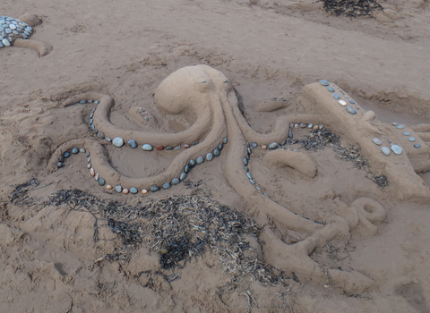 Octopus sandsculpture