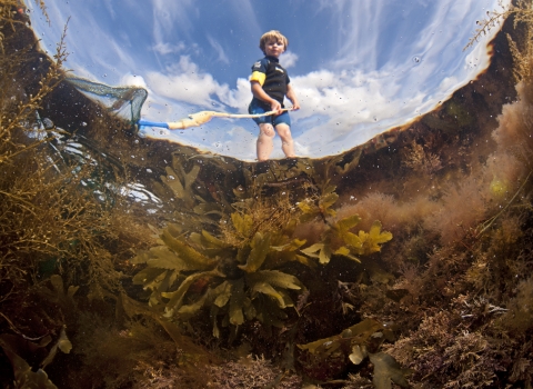 Boy rockpooling ©Alex Mustard/2020VISION